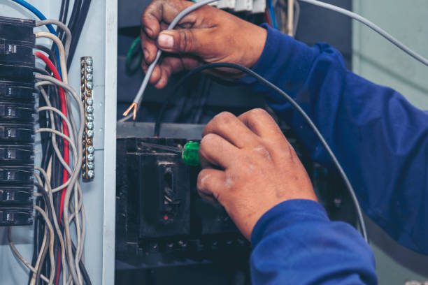 Best Electric Panel Repair  in Winterset, IA